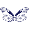 Butterfly Wing