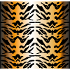 Tiger pattern