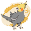 Cockatiel Cinnamon