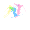 ski