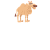 Heartbeat Camel Dromedary EKG