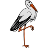 stork