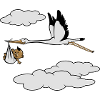 storch baby