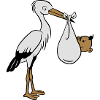 naissance cigogne bébé