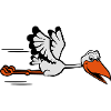 storch fliegen