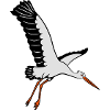 cigogne oiseau volant