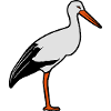 storch steht