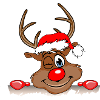 Reindeer Rudolph