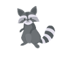Süßer Waschbär