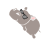 Hypotenuse Hippo Hippopotamus Math Geometry