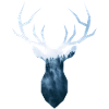Nebelhirsch