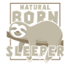 Sloth Sleeping Nap