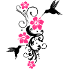 Hummingbird, colibri with hibiscus flowers