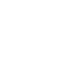 software developer