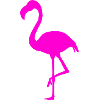 Flamingo Rose