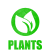végétalien