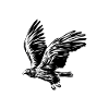 HAWK