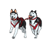Cadeau pour chien Husky Sibérien