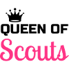 scout / scouting / scoutisme / guide