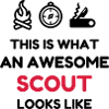 scout / scouting / scoutisme / guide