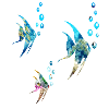 fishes