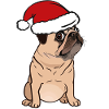 Nicholas Christmas Pug