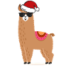 Nicholas Christmas Lama