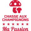 Chasse aux champignons / Champignon / Cueillette