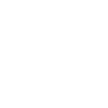 Whippet