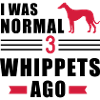 Whippet