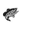 Fishing. Fishing. Fishing. fishes