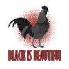 Cemani rooster black chicken