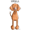 Happy Vizsla