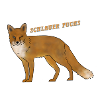 Schlauer Fuchs