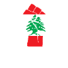 Lebanon Demonstration Lebanese Flag Revolution