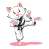 Karate cat sport