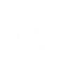 Seahorse heartbeat