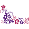 Hibiscus blossoms and butterflies