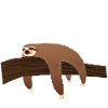 Sleeping Sloth | Nope. Not Today.