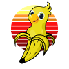 Parrot Cute gift idea