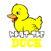 What the Duck
