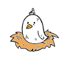 birds