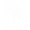 golang go programming language