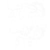 python Programmiersprache technologie
