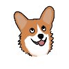 Corgi