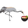 Japanese heron loves ramen