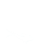 Diving diver sea fish