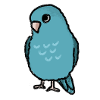 Parrotlet