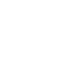 Skater Evolution