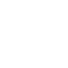 ski